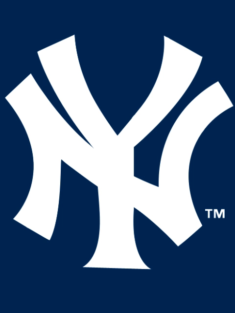 New York Yankees Logo 3D Art Baseball Print NY Yankees Art New  Etsy